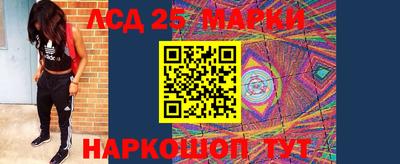 СК Кингисепп