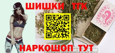 СК Кингисепп