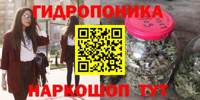 СК Кингисепп