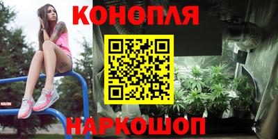 СК Кингисепп