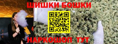 СК Кингисепп