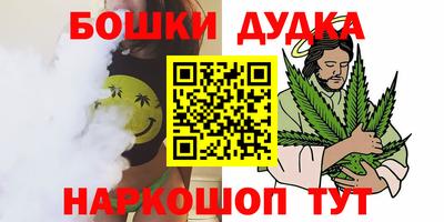 СК Кингисепп