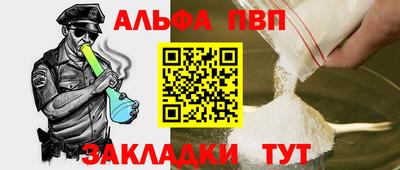 СК Кингисепп