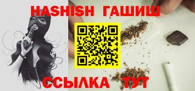 СК Кингисепп