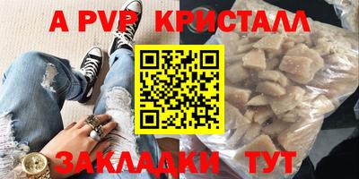 СК Кингисепп
