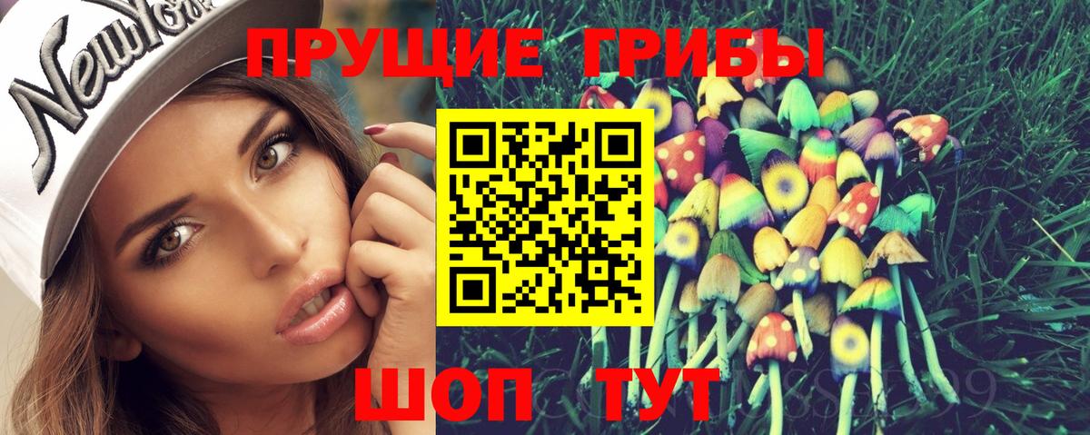 Псилоцибиновые грибы Cubensis  наркотики  Вход с VPN  Ипатово  Псилоцибиновые грибы Cubensis 