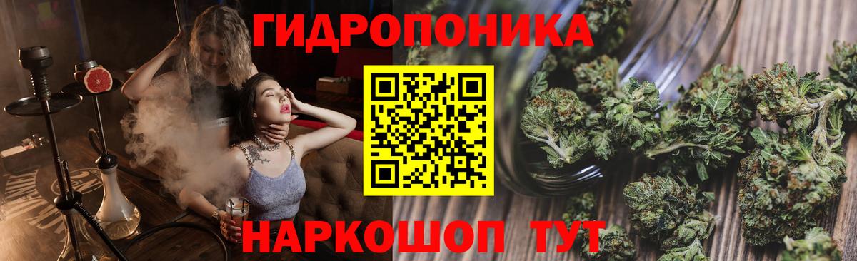 Бошки марихуана семена  Шишки марихуана White Widow  Каннабис White Widow  Ипатово  Вход с VPN 